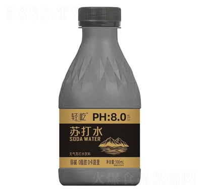 pKˮ300ml