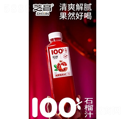 ֥100%ʯ֭500ml