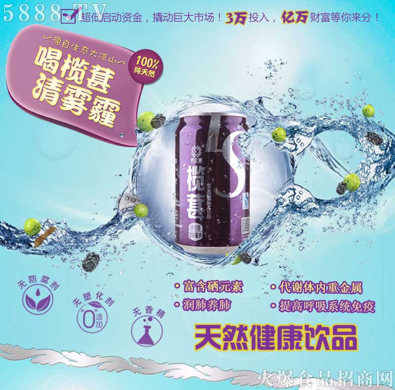 欖葚加盟政策_(dá)01