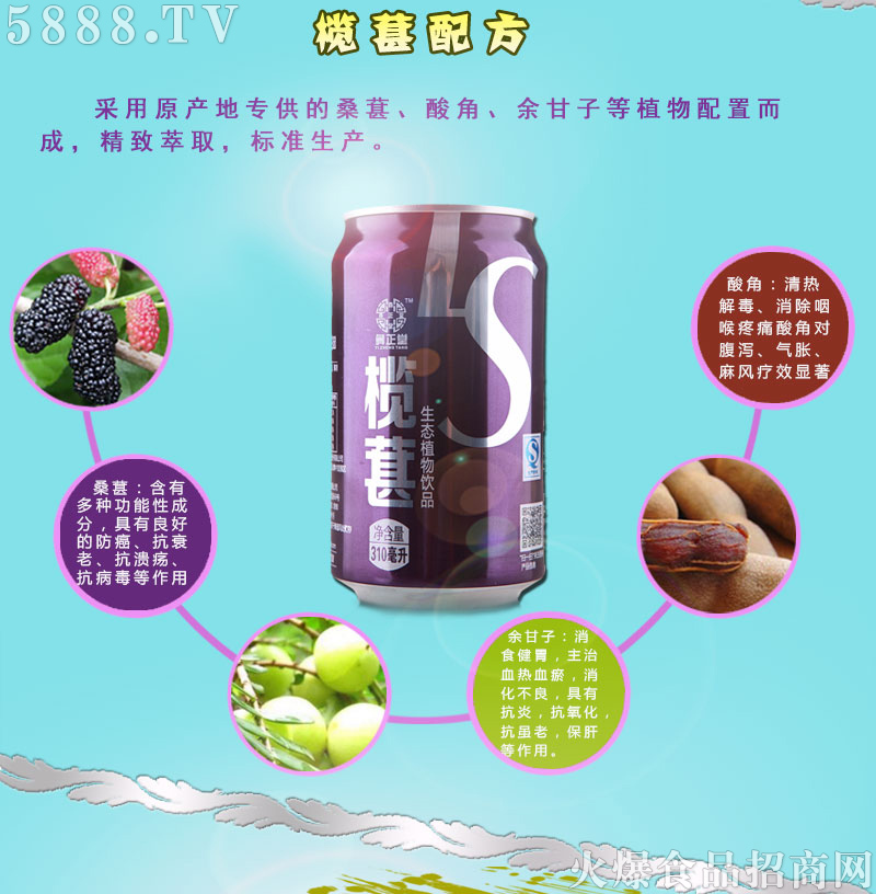 欖葚加盟政策_(dá)04