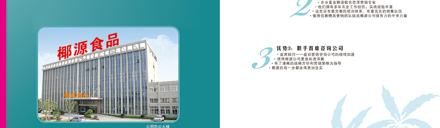 椰源招商