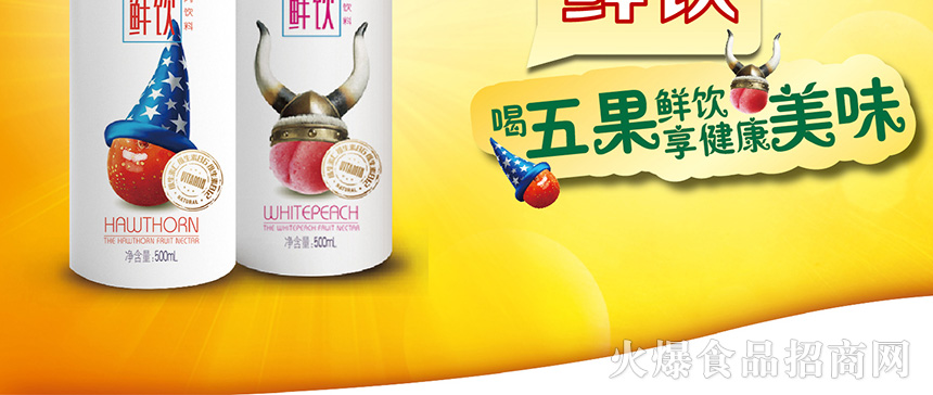河北味新食品有限公司